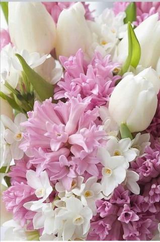 Коллектив диспансера сердечно поздравляет с днём рождения коллег, родившихся в апреле